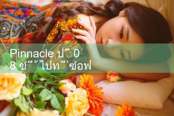 08 ปี Pinnacle|playme8|fun88|Ole777