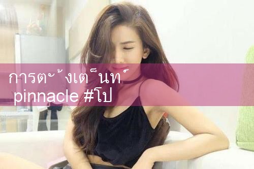 เต็นท์ Pinnacle|playme8|fun88|Ole777