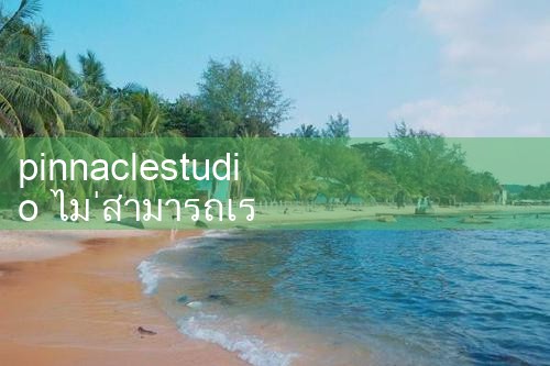 Pinnaclestudio ไม่สามารถเริ่มใช้งานได้|playme8|fun88|Ole777