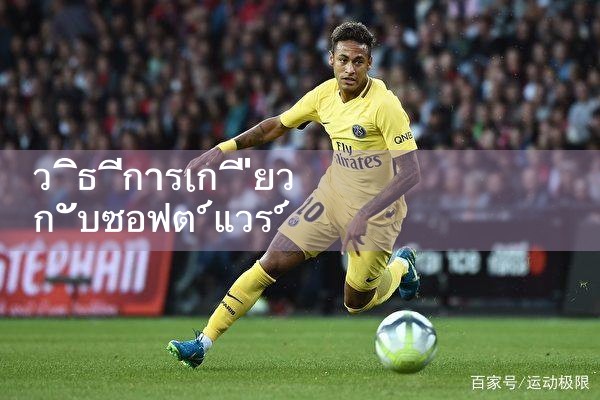 วิธีการเกี่ยวกับซอฟต์แวร์ pinnacle|Playme8|ufabet|fun88