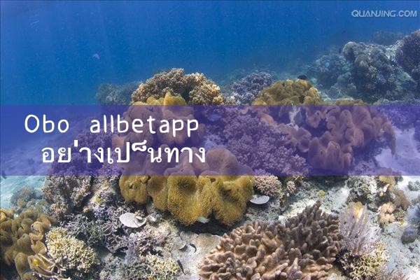 Oubo allbetapp อย่างเป็นทางการ|playme8|ole777|ufabet