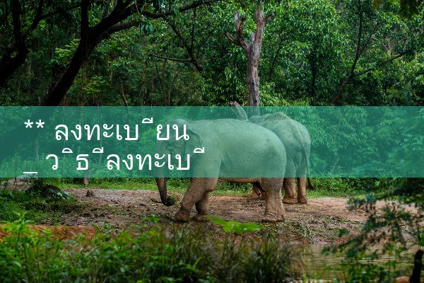 ** ลงทะเบียน|playme8|fun88|Ole777
