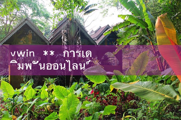 vwin**เดิมพันออนไลน์|10bet