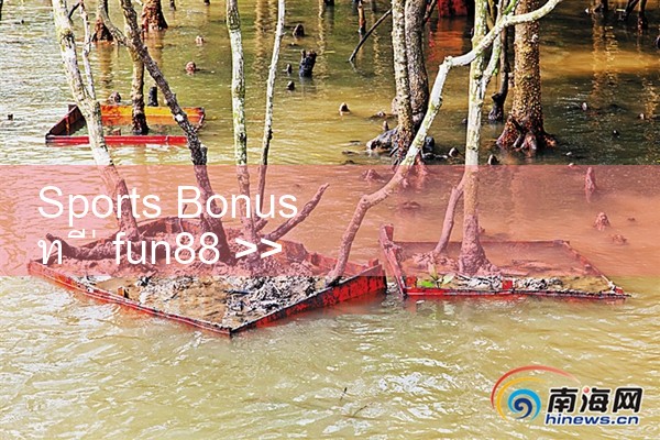 โบนัสสปอร์ตคอมพ์ที่ fun88|Play8|fun88|m88