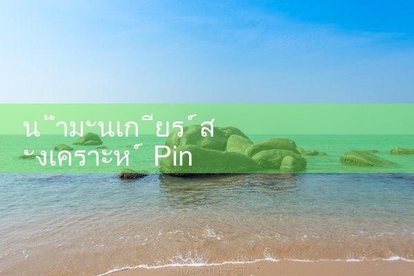 Pinnacle น้ำมันเกียร์สังเคราะห์|playme8|fun88|Ole777
