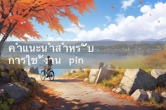 คำแนะนำสำหรับการใช้งาน pinnaclepcx|playme8|fun88|Ole777