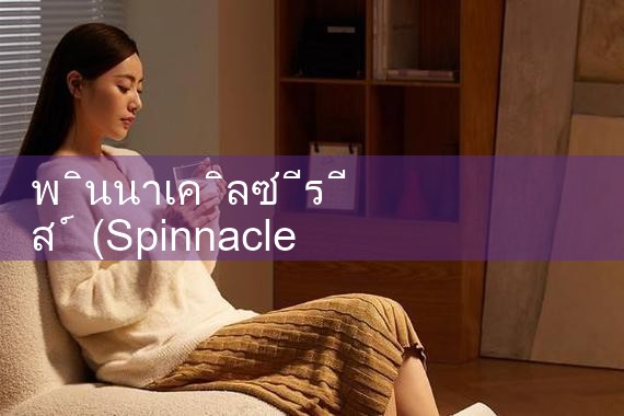 ชุดพินนาเคิล|playme8|fun88|Ole777