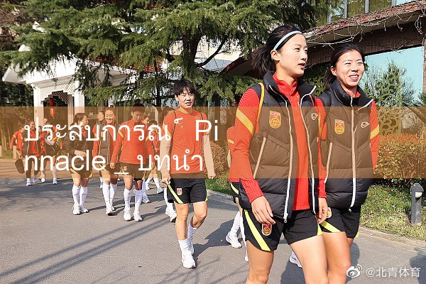 ประสบการณ์ Pinnacle|playme8|fun88
