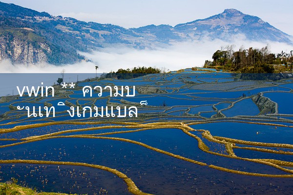 vwin ** ความบันเทิงเกมแบล็คแจ๊|10bet